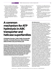 A common mechanism for ATP hydrolysis in ABC transporter and