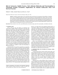 Role of Astrocytes, Soluble Factors, Cells Adhesion Molecules and