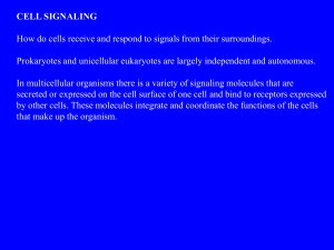 CELL SIGNALING How do cells receive and respond to signals from