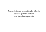 Transcriptional regulation by Myc in cellular growth control and