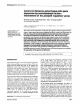 Control of Neisseria gonorrhoeae pilin gene