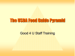 The USDA Food Guide Pyramid