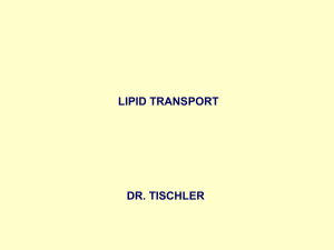 Lipid Transportu - mustafaaltinisik.org.uk