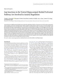 Gap Junctions in the Ventral Hippocampal-Medial