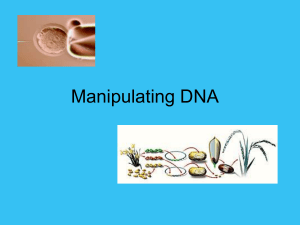 Manipulating DNA