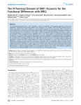 The N-Terminal Domain of ERK1 Accounts for the Functional