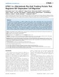 GTSE1 Is a Microtubule Plus-End Tracking Protein That