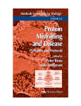 Protein Misfolding and Disease Protein Misfolding and Disease