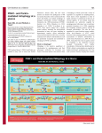 PINK1- and Parkin- mediated mitophagy at a glance