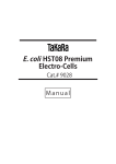 E. coli HST08 Premium Electro