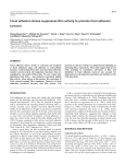 FAK suppresses Rho activity to promote focal adhesion turnover