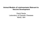 Animal Models of Leishmaniasis Relevant to
