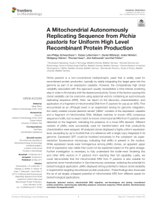 A Mitochondrial Autonomously Replicating Sequence from Pichia