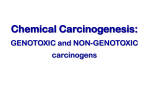 Non-Genotoxic carcinogens Cell proliferation
