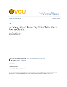 Review of the p53 Tumor Suppressor Gene and its Role in Gliomas