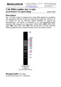 1 kb ladder.eng Ed.08. March 14