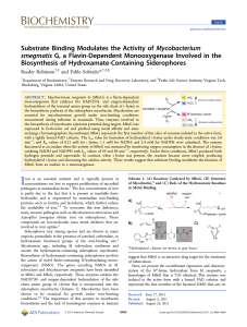 Substrate Binding Modulates the Activity of Mycobacterium