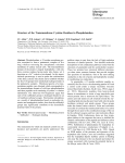 Structure of the Transmembrane Cysteine Residues in