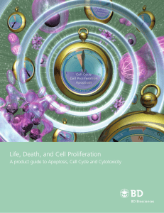 Life, Death, and Cell Proliferation