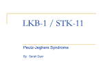 LKB-1 / STK-11