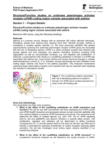 Structure/Function studies on urokinase plasminogen activator