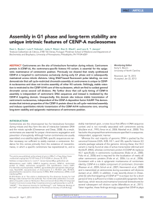 Assembly in G1 phase and long-term stability are unique