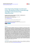 Gene Expression Changes in Colorectal Cancer during Metronomic