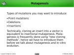 Mutagenesis Point mutations Deletions Insertions Types of