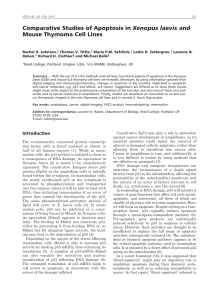 Comparative Studies of Apoptosis in Xenopus laevis and