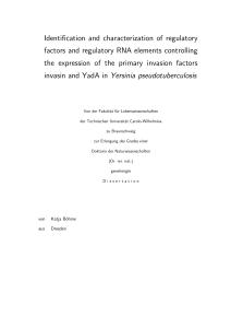 Identification and characterization of regulatory factors and