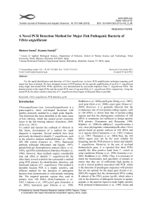 A Novel PCR Detection Method for Major Fish Pathogenic Bacteria