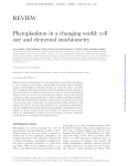 REVIEW Phytoplankton in a changing world: cell size and elemental