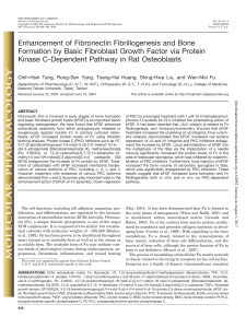 Enhancement of Fibronectin Fibrillogenesis and Bone Formation by