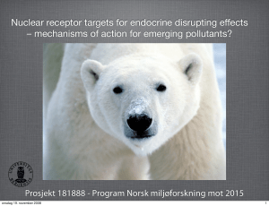 Nuclear receptor targets for endocrine disrupting effects