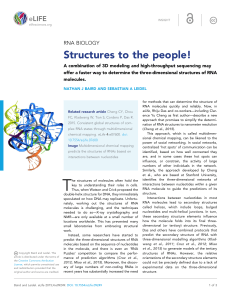 RNA Biology: Structures to the people! | eLife