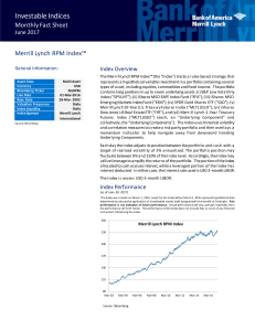Merrill Lynch RPM Index