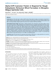 Alpha-COPI Coatomer Protein Is Required for Rough Endoplasmic