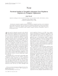 Functional Analysis of Drosophila melanogaster Gene Regulatory