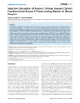 Selective Disruption of Aurora C Kinase Reveals Distinct Functions