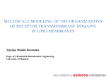 multiscale modeling of the organizations of receptor transmembrane
