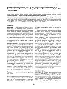 Glucocorticoids Induce Cardiac Fibrosis via Mineralocorticoid