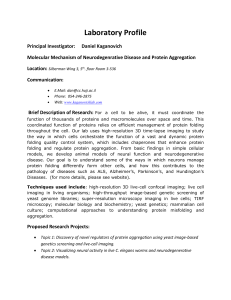 Daniel Kaganovich Molecular Mechanism of