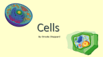 Cells - AState.edu