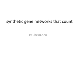 synthetic gene networks that count