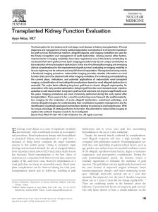 Transplanted Kidney Function Evaluation