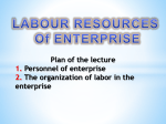 The organization of labor in the enterprise