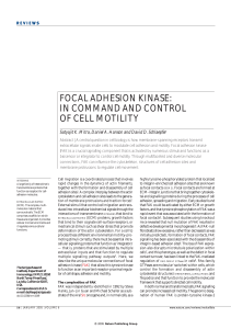 FOCAL ADHESION KINASE: IN COMMAND AND CONTROL OF