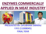 Enzymes commercially applied in meat industry