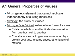 DNA viruses - WordPress.com