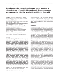 Acquisition of a natural resistance gene renders a clinical strain of